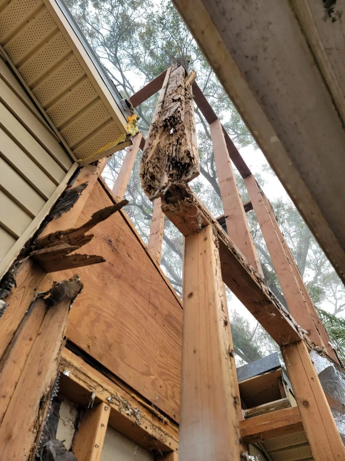 Looking up at the opened frame of a chimney chase: the corner post and top plate are rotted and splintered